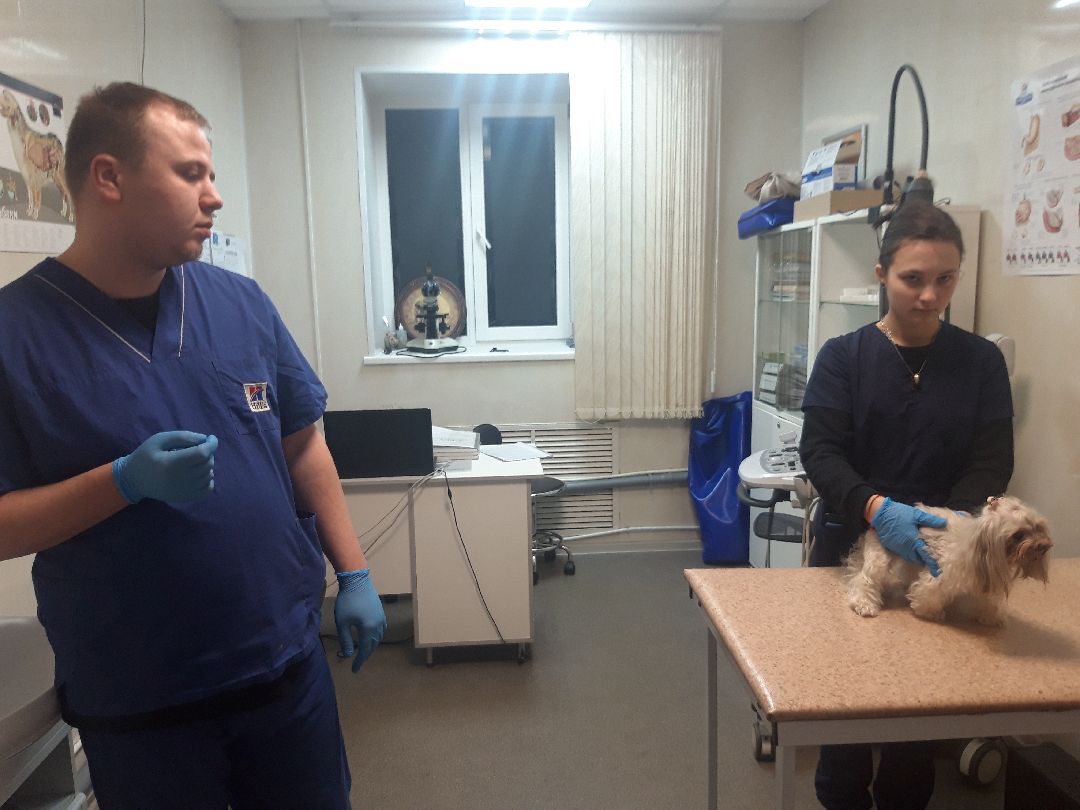 Доброе дело, предупреждение,