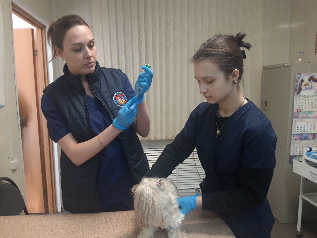 Доброе дело, предупреждение,