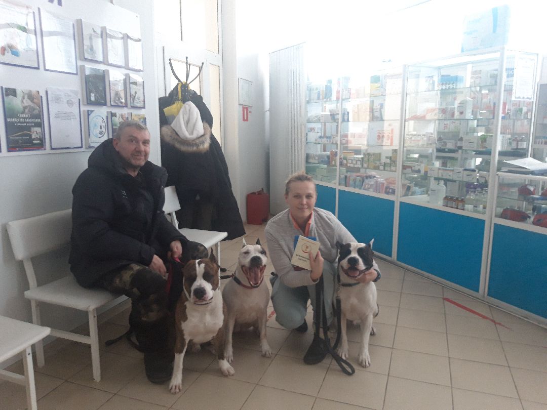 Доброе дело, предупреждение,