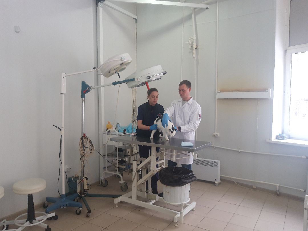 Доброе дело, предупреждение,