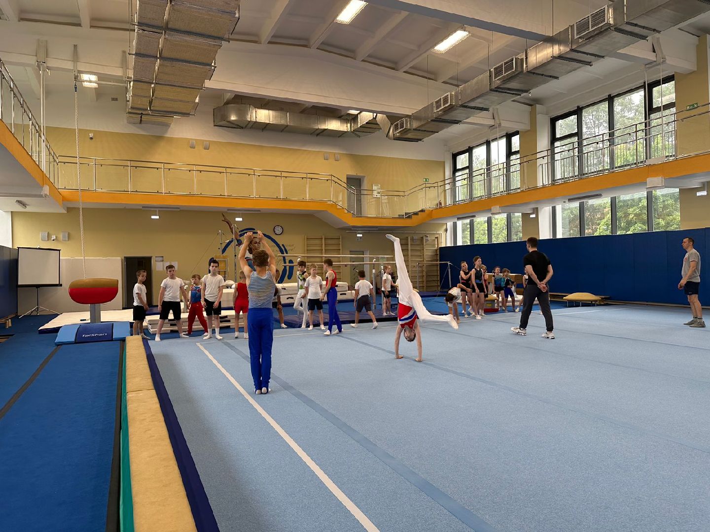 Летние спортивные сборы, спортивная гимнастика, Наро-Фоминск, акробатика