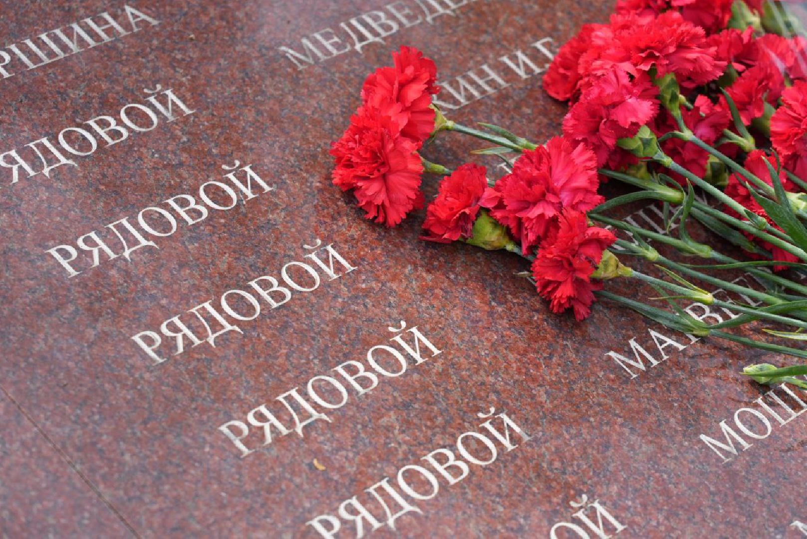 Сергиево-Посадский городской округ, Сергиев Посад, День памяти и скорби, Памятный митинг, Великая Отечественная война