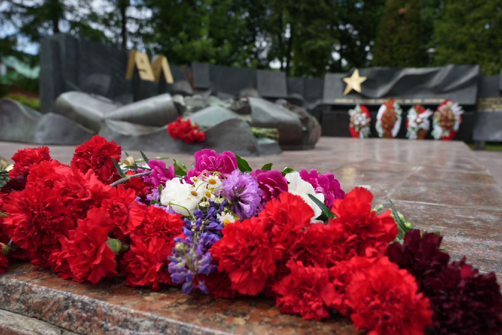 Сергиево-Посадский городской округ, Сергиев Посад, День памяти и скорби, Памятный митинг, Великая Отечественная война