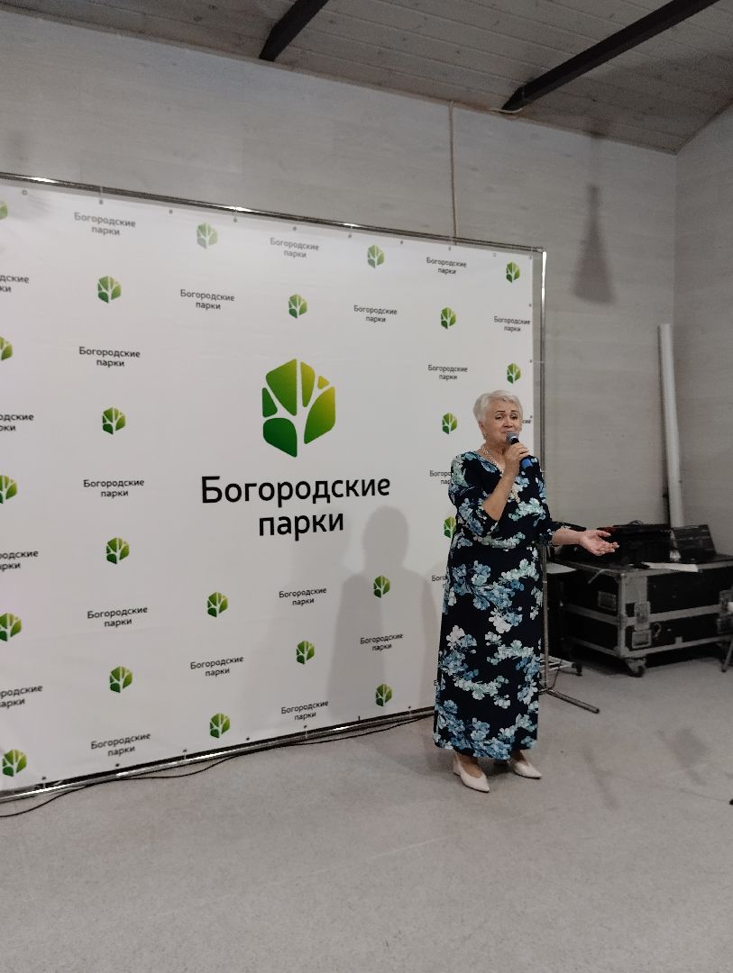 Концерт, популярная музыка, Центральный парк, Ногинск, Богородский городской округ