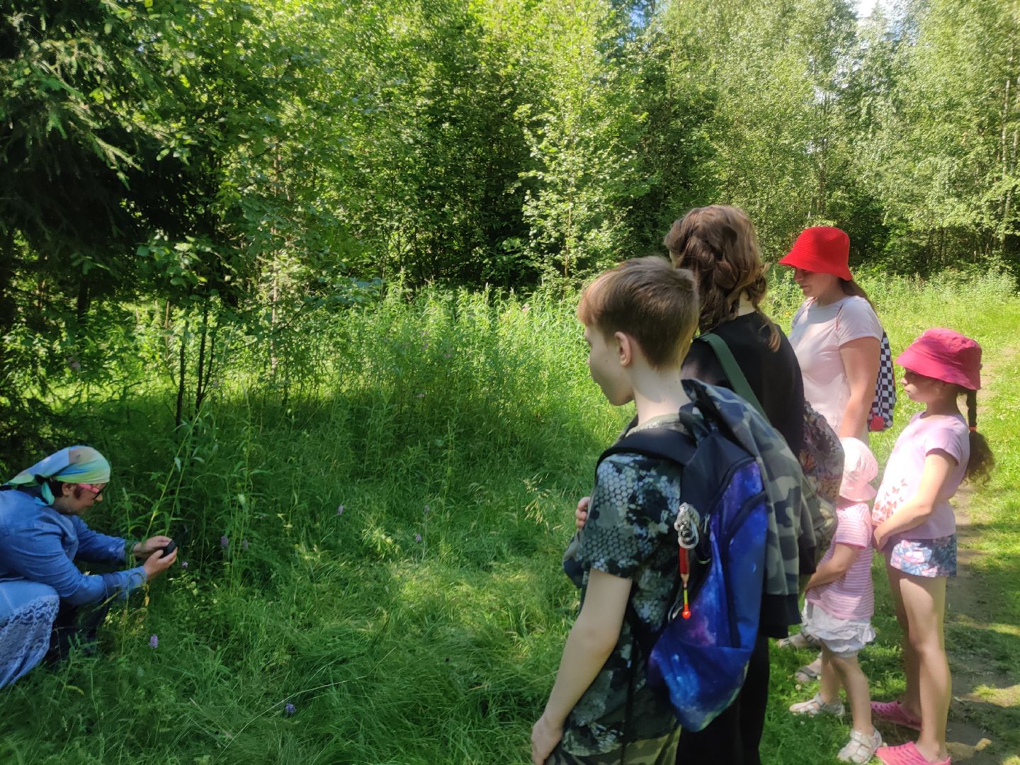 Красноармейск, Пушкинский, экология, Красная книга, русские орхидеи