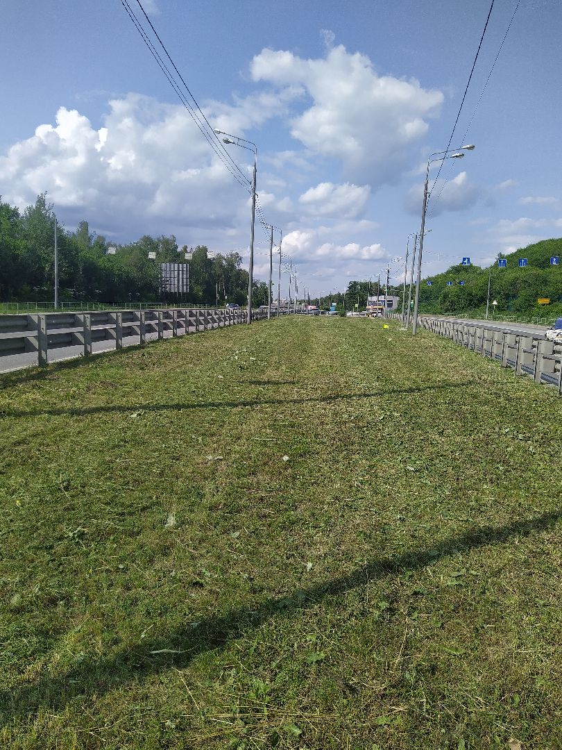 Долгопрудный, покос травы, ЖКХ, благоустройство, газон, Химки