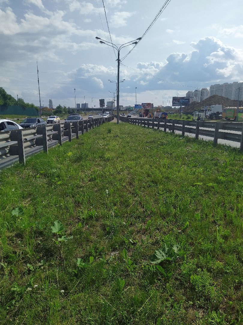 Долгопрудный, покос травы, ЖКХ, благоустройство, газон, Химки