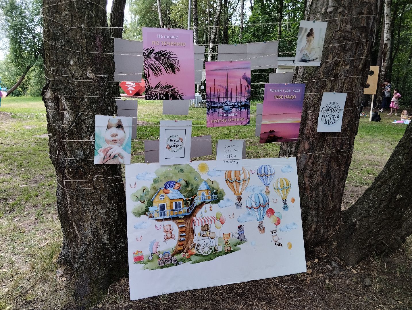 Фестиваль, парк, Волхонка, Ногинск, Богородский городской парк