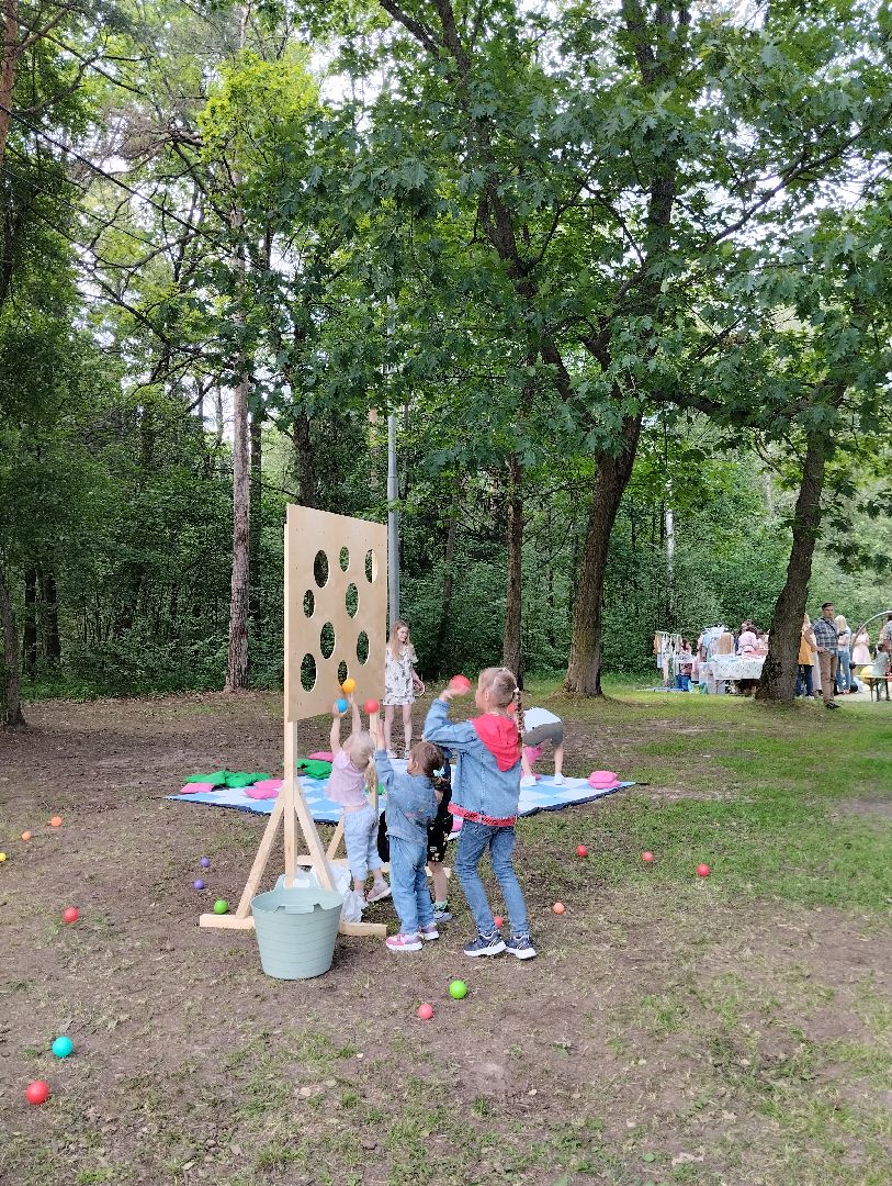 Фестиваль, парк, Волхонка, Ногинск, Богородский городской парк