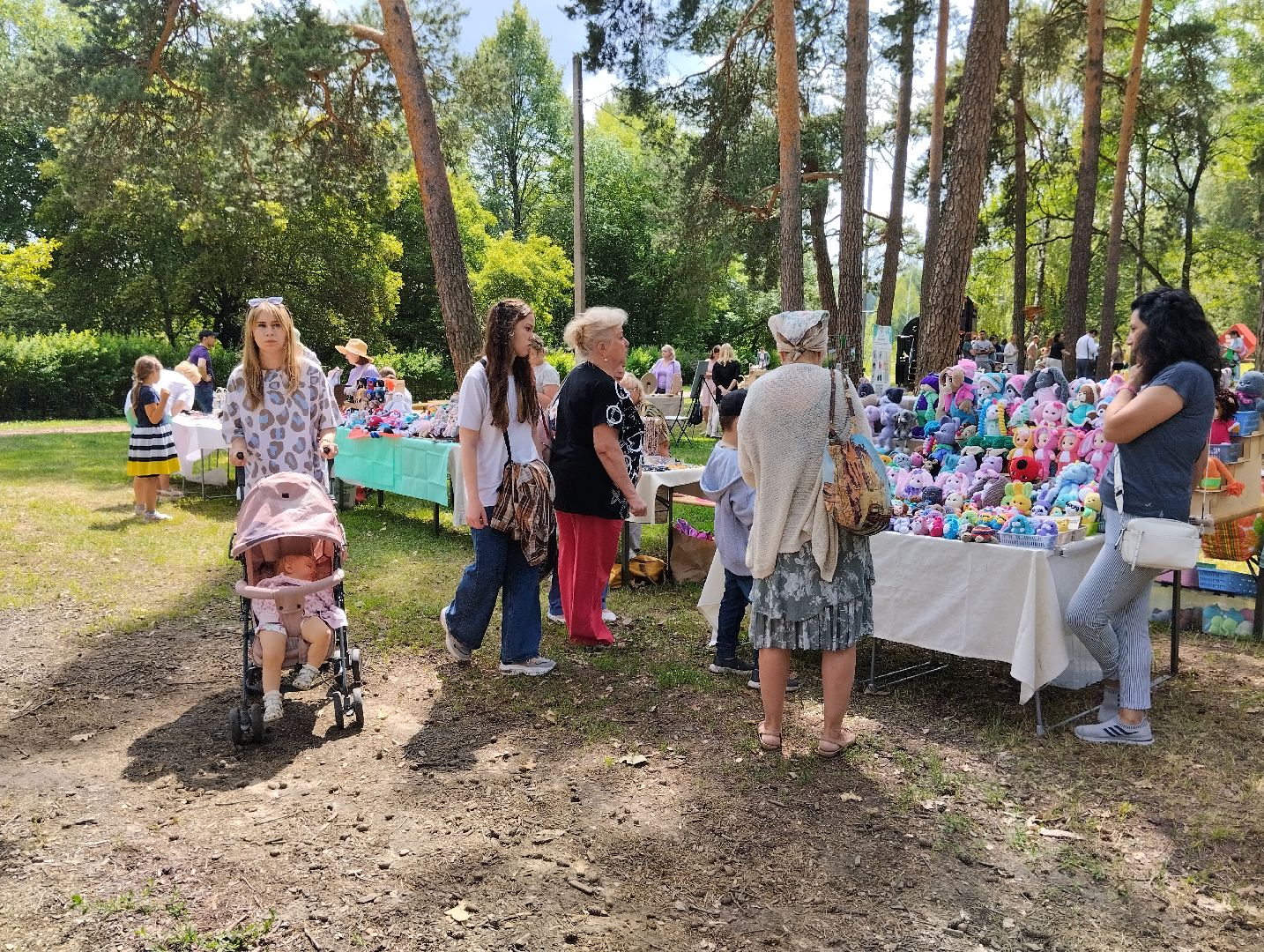 Фестиваль, парк, Волхонка, Ногинск, Богородский городской округ