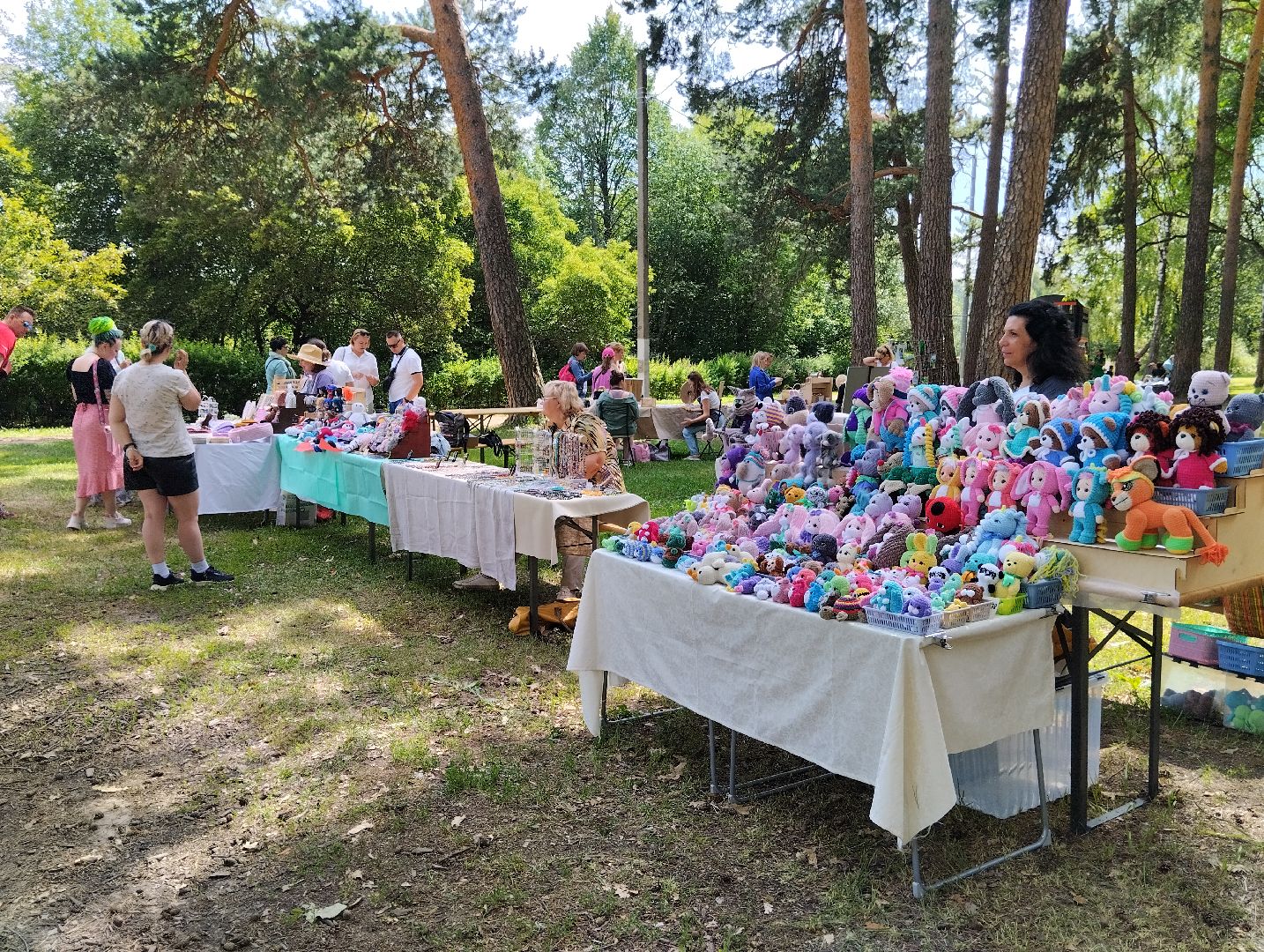 Фестиваль, парк, Волхонка, Ногинск, Богородский городской округ