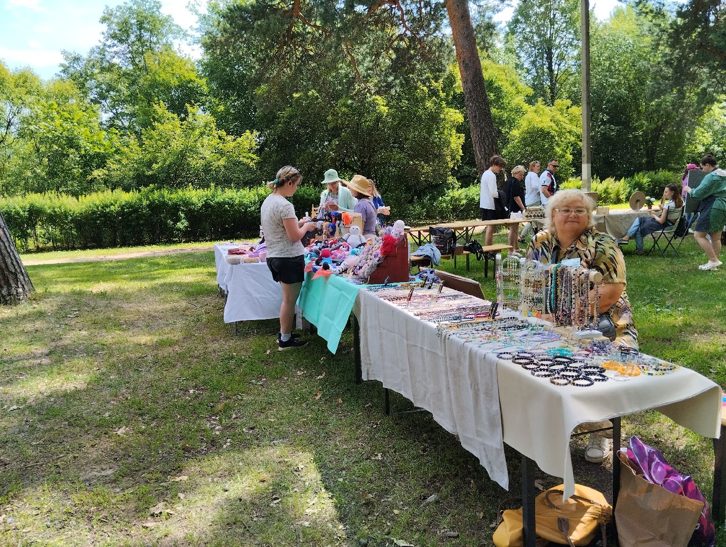 Фестиваль, парк, Волхонка, Ногинск, Богородский городской округ