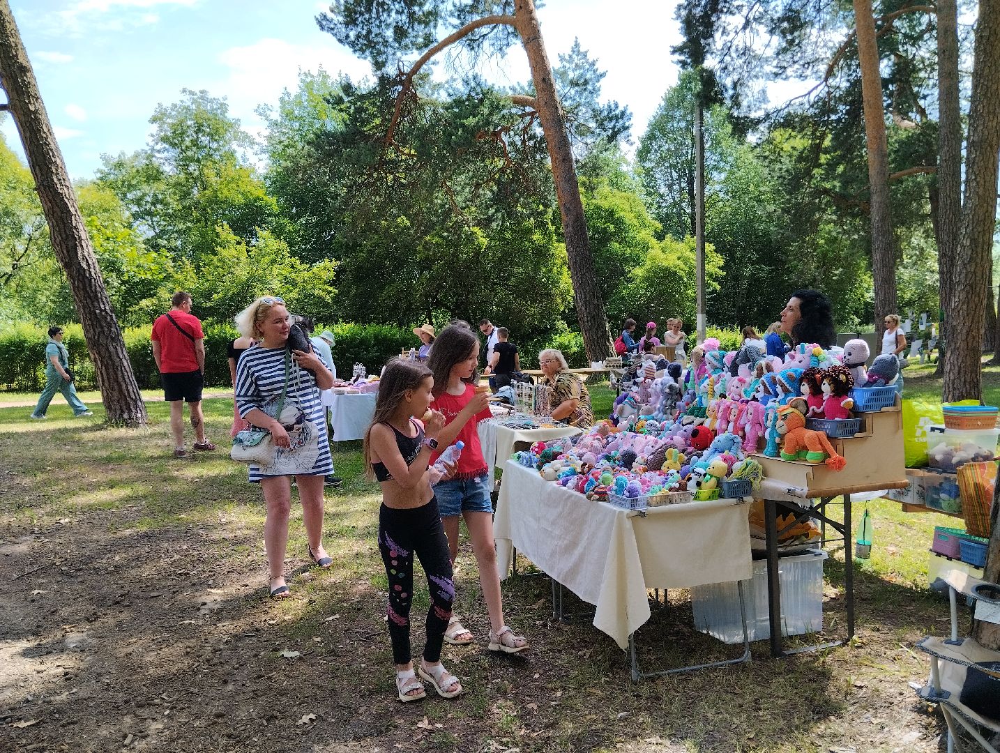 Фестиваль, парк, Волхонка, Ногинск, Богородский городской округ