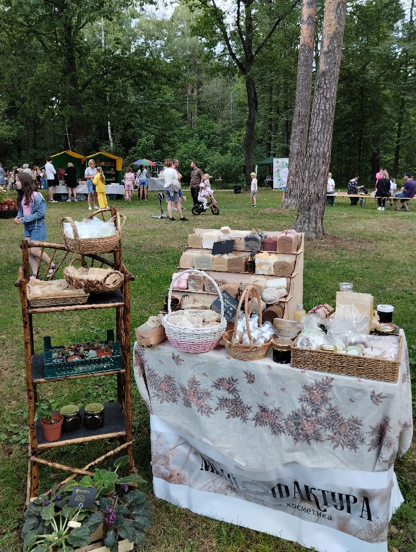 Фестиваль, парк, Волхонка, Ногинск, Богородский городской округ