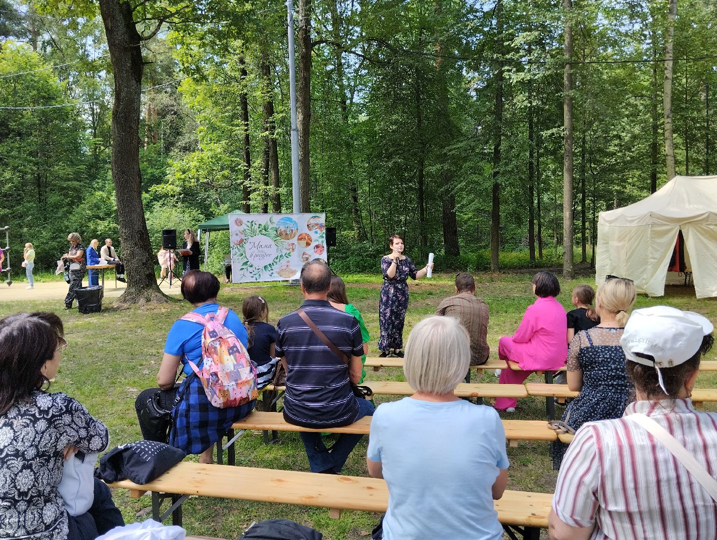 Концерт, фестиваль, парк, Ногинск, Богородский городской округ