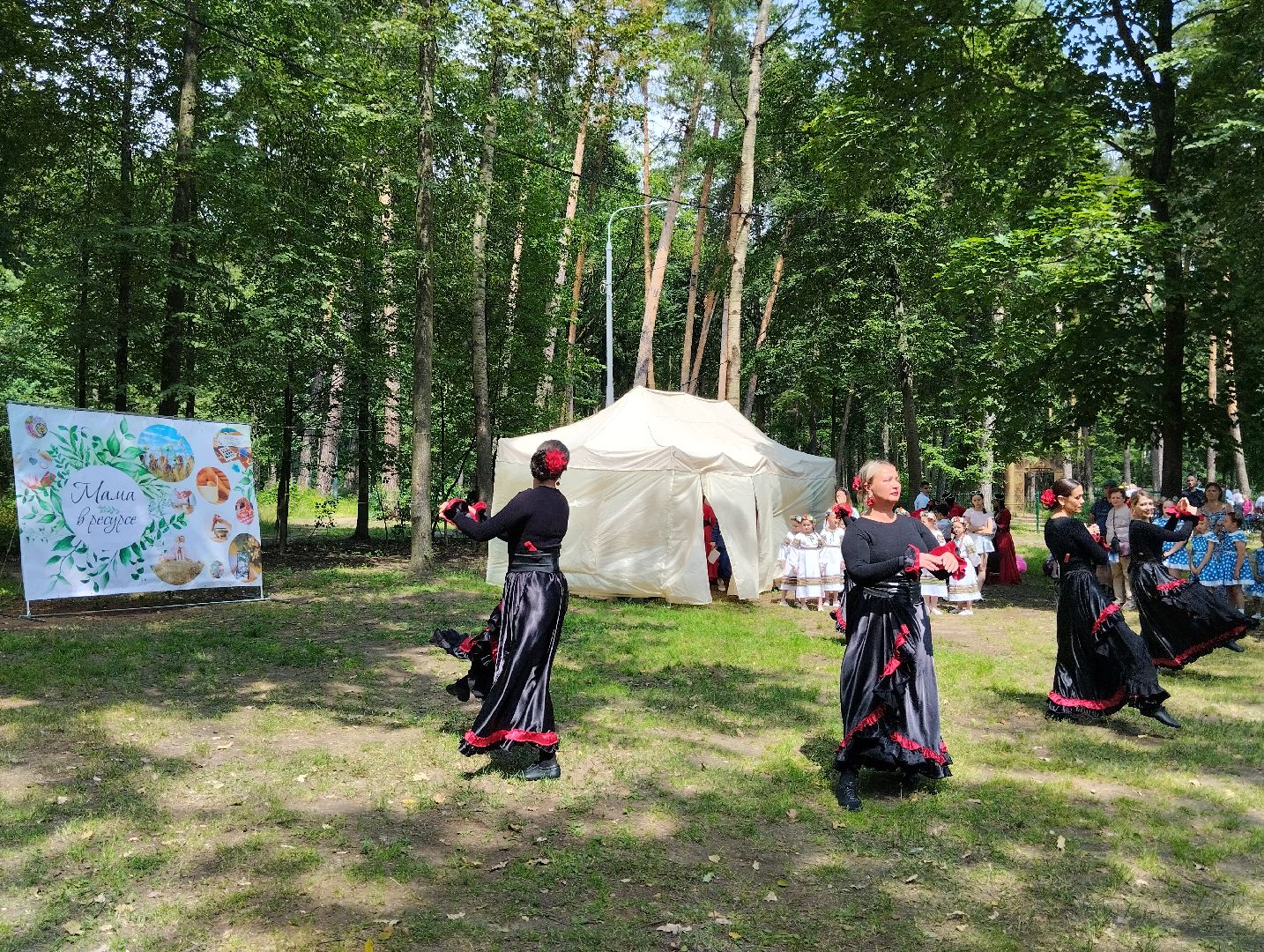 Концерт, фестиваль, парк, Ногинск, Богородский городской округ