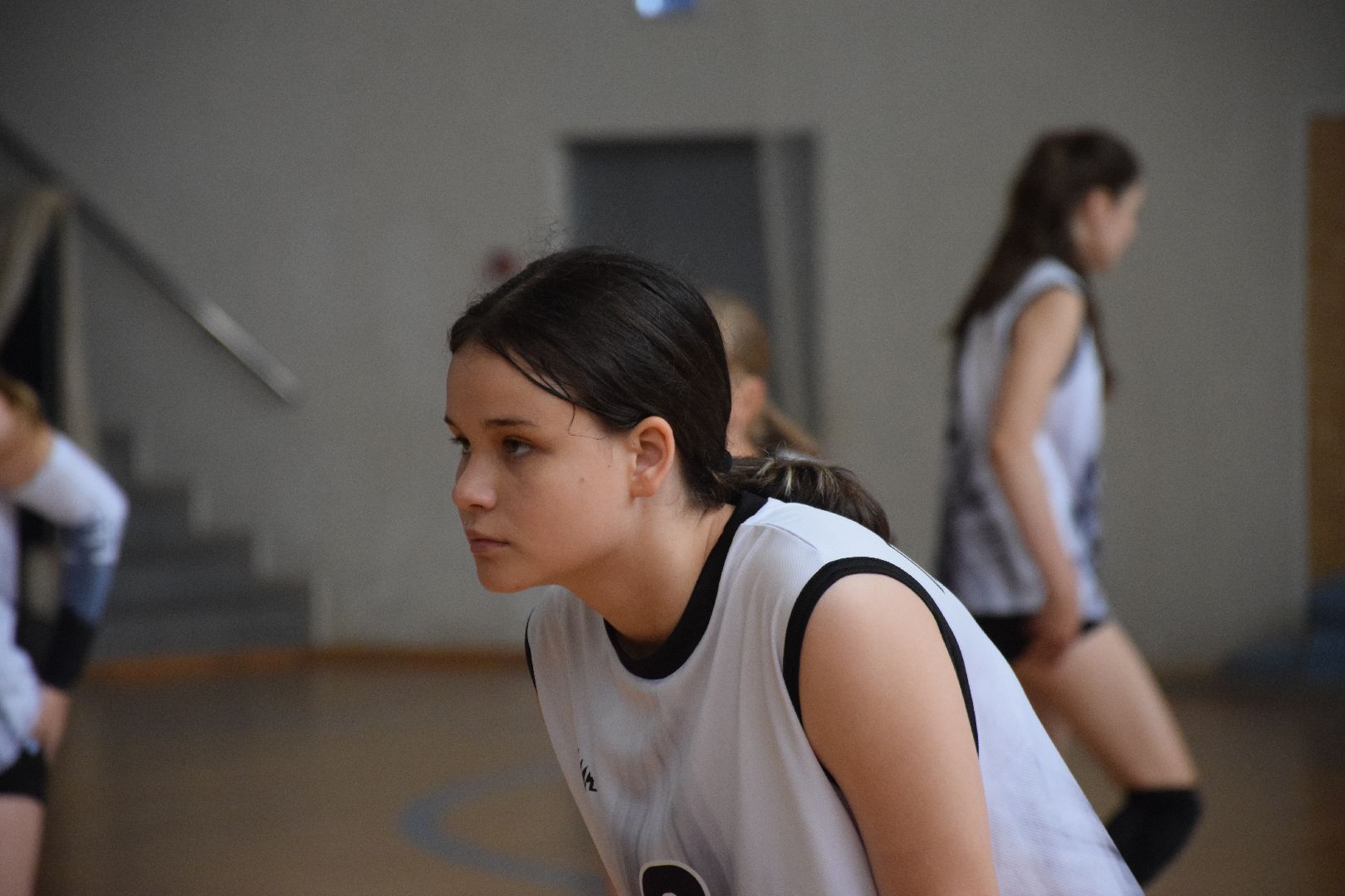 Павловский Посад, городской округ Павловский Посад, спорт, губернатор, волейбол, девушки, соревнования