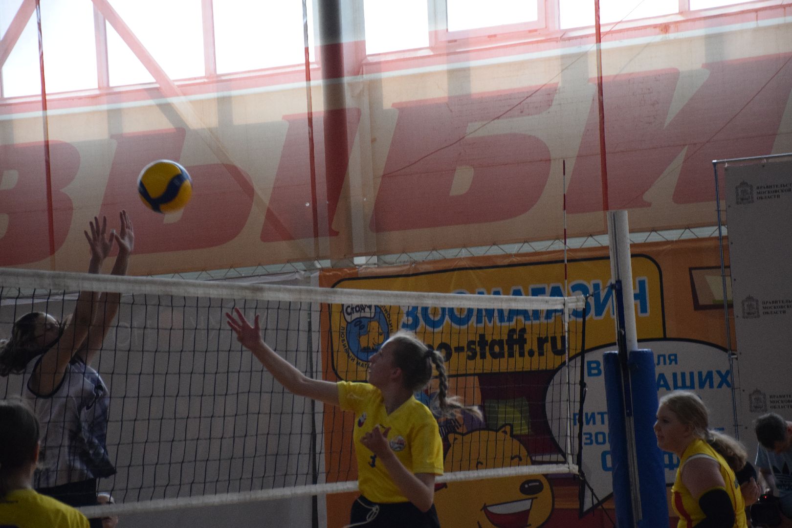 Павловский Посад, городской округ Павловский Посад, спорт, губернатор, волейбол, девушки, соревнования