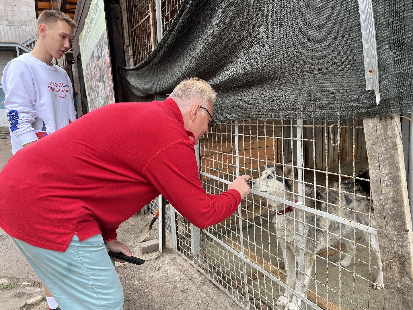 Химки, Волонтеры Подмосковья, приют, собаки