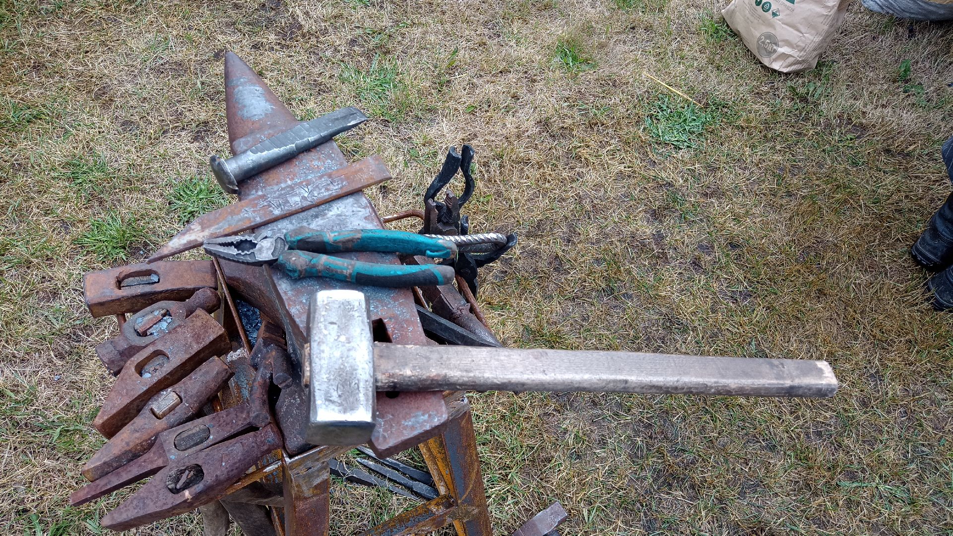 Реутов, спорт, фестиваль, физическая культура, Алексей Папин, славяне