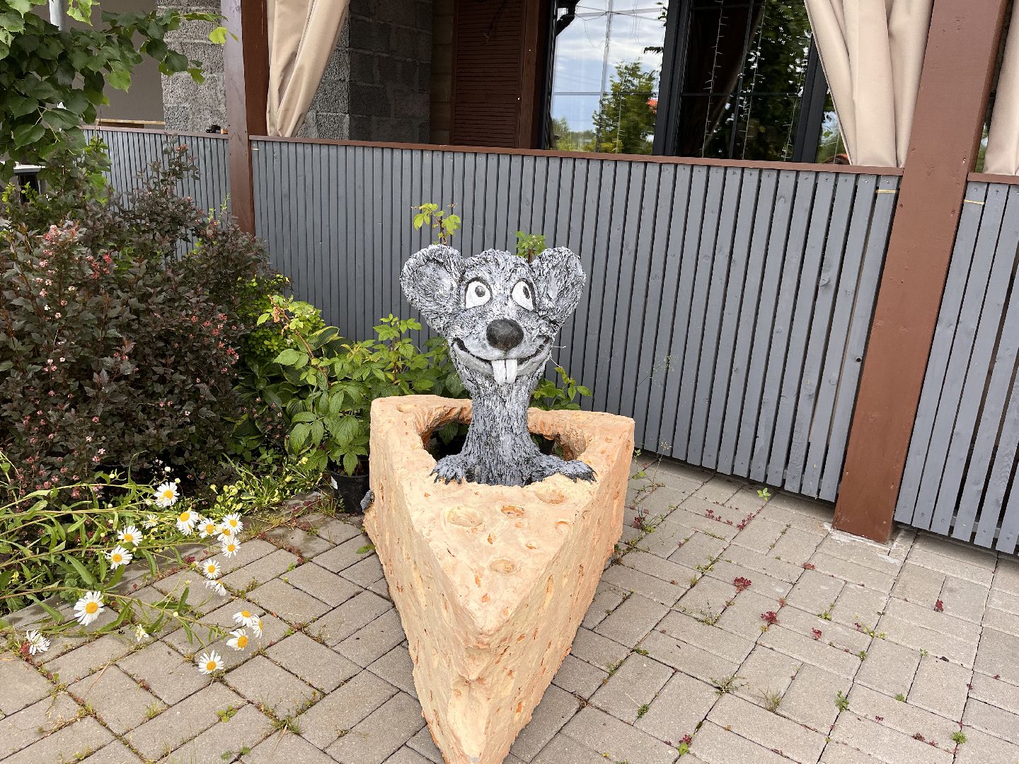 Шаховская, сыроварня, строительство