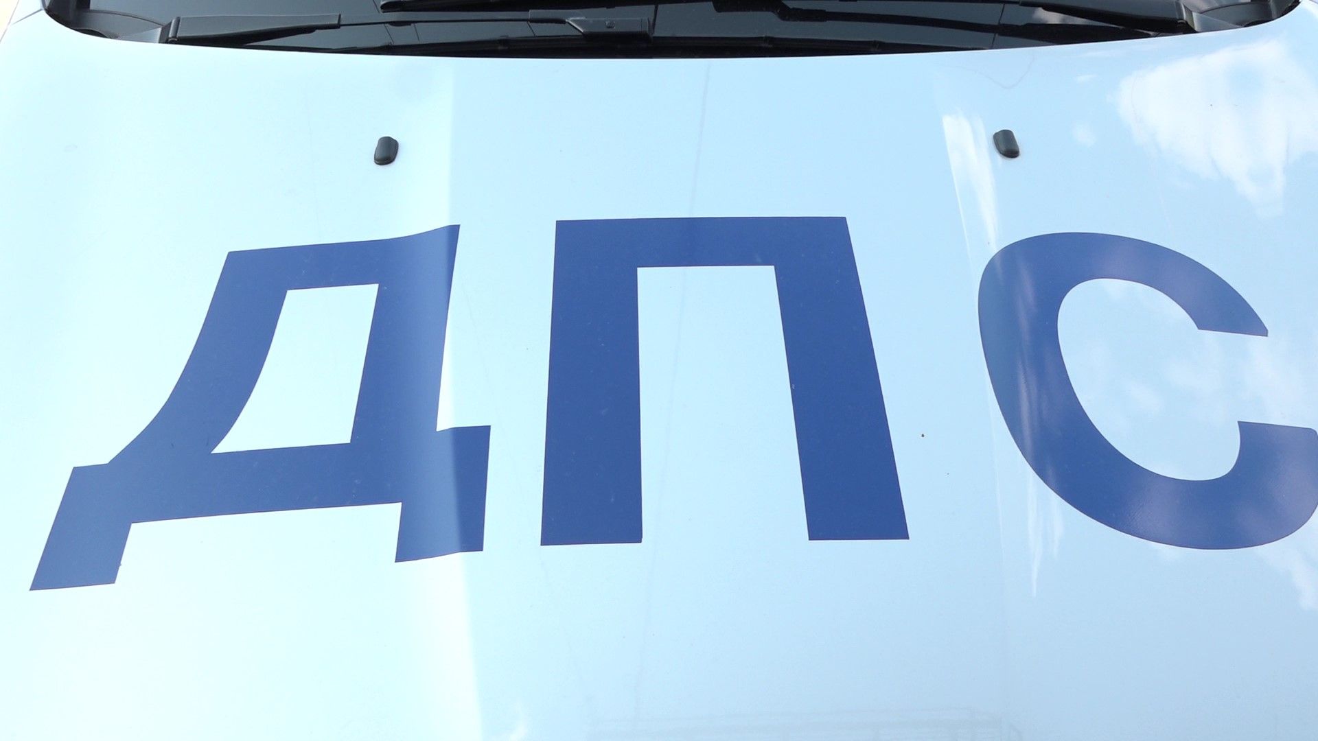 День ГАИ, Домодедово