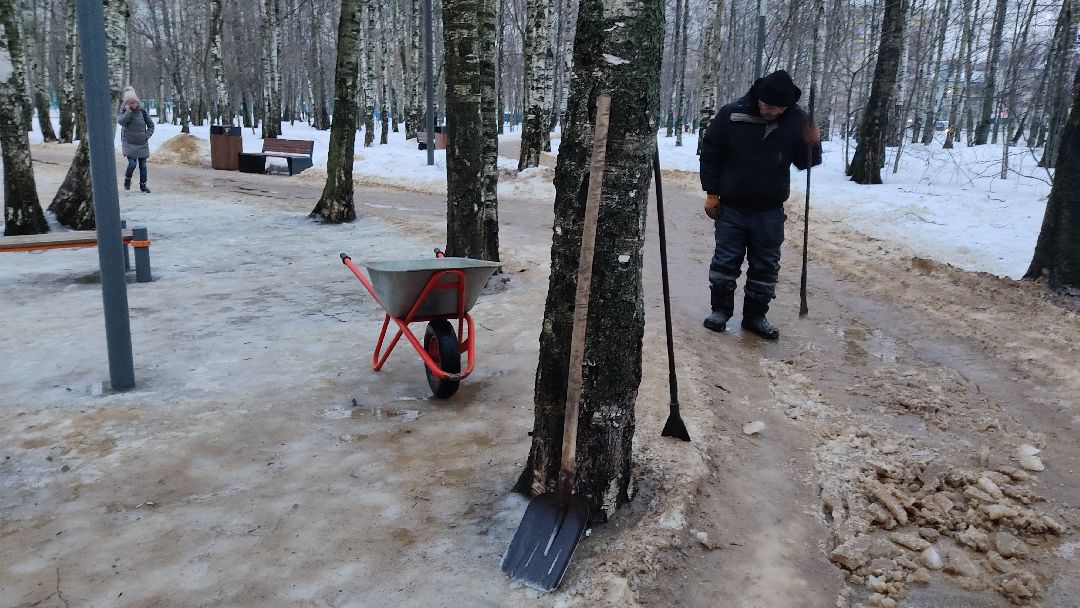 Лобня, города