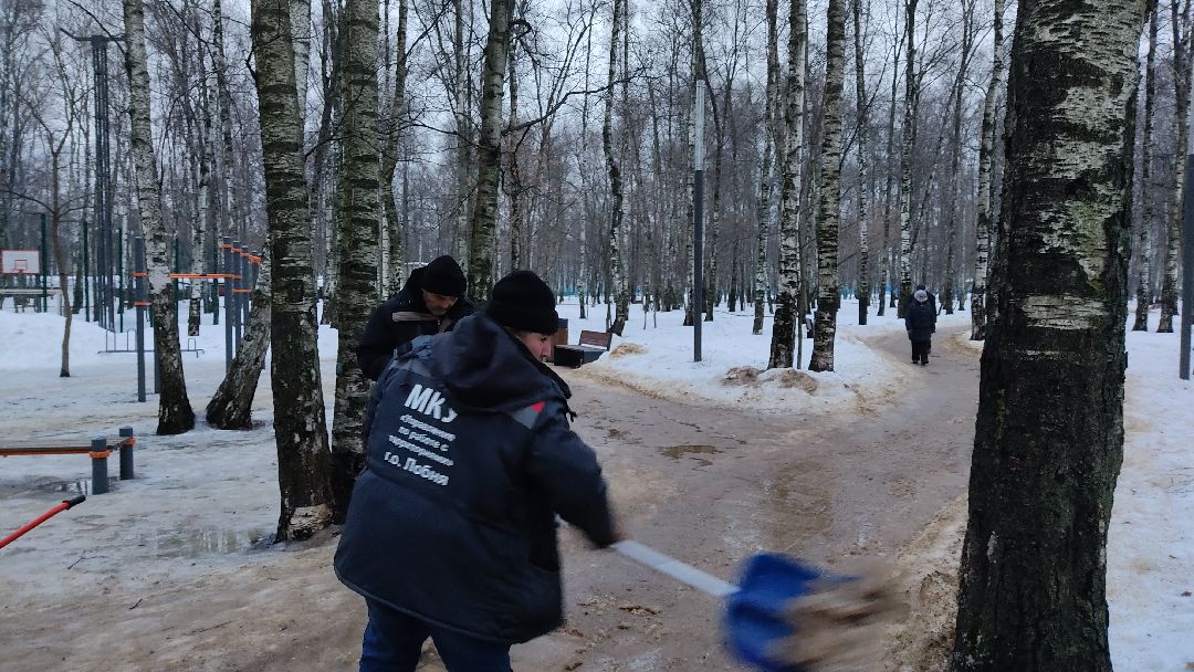 Лобня, города