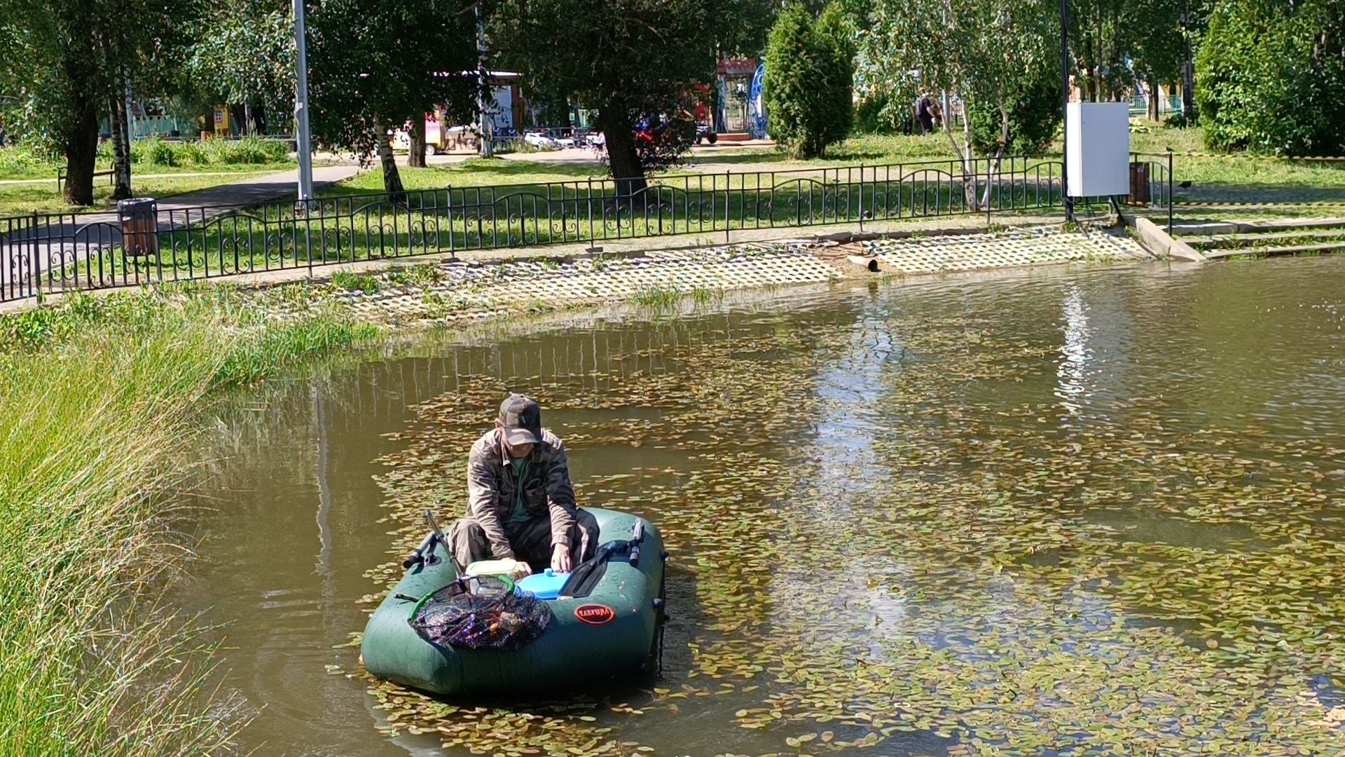 парк, рыба, пруд