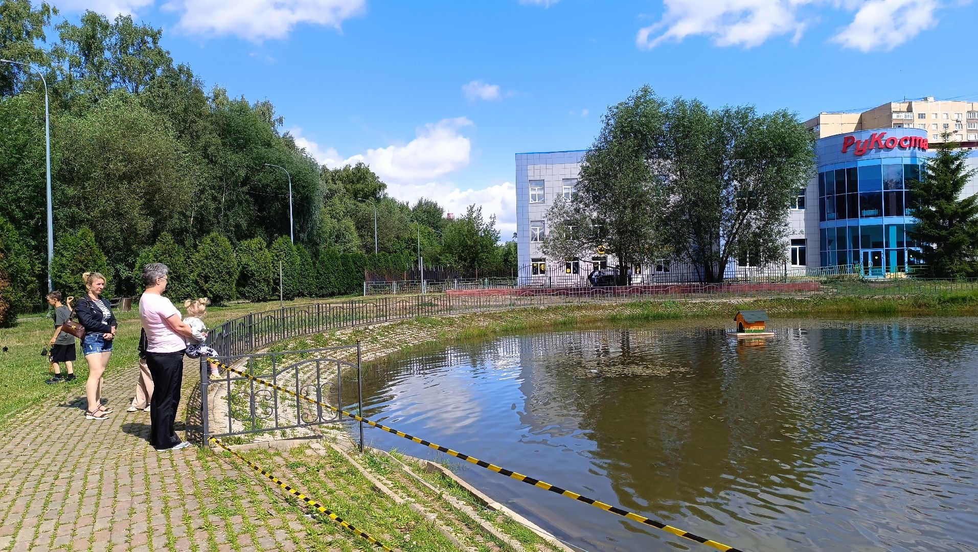 парк, рыба, пруд