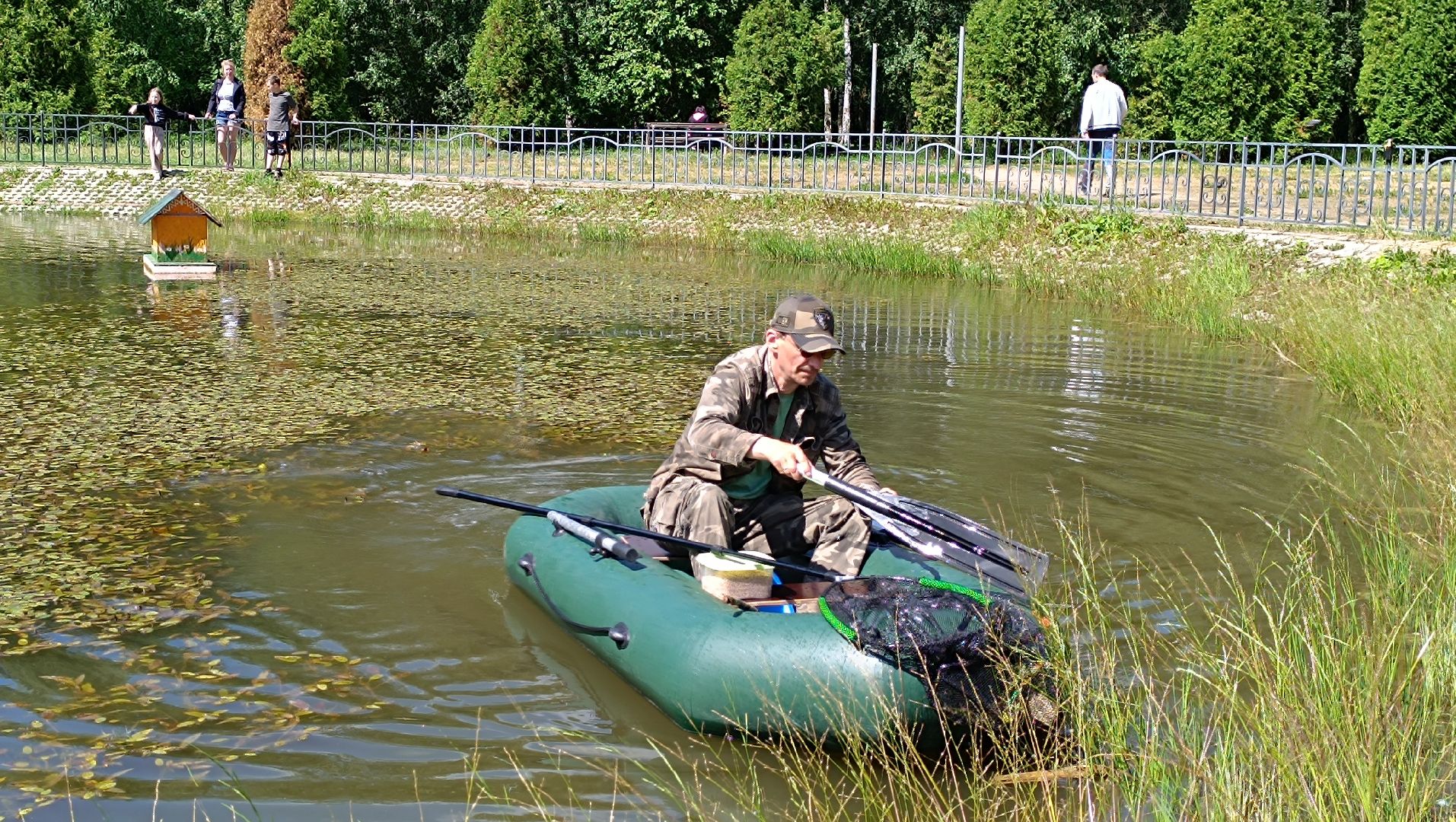 парк, рыба, пруд
