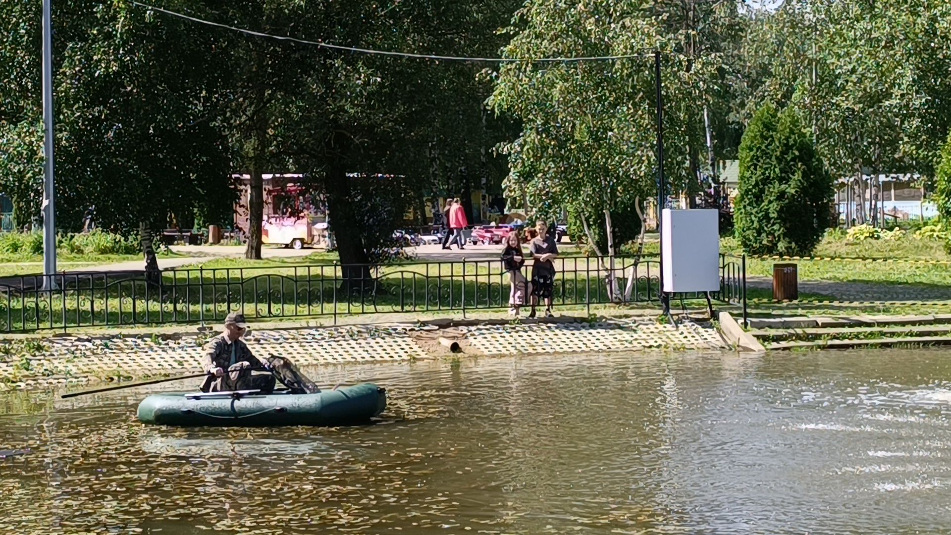 парк, рыба, пруд