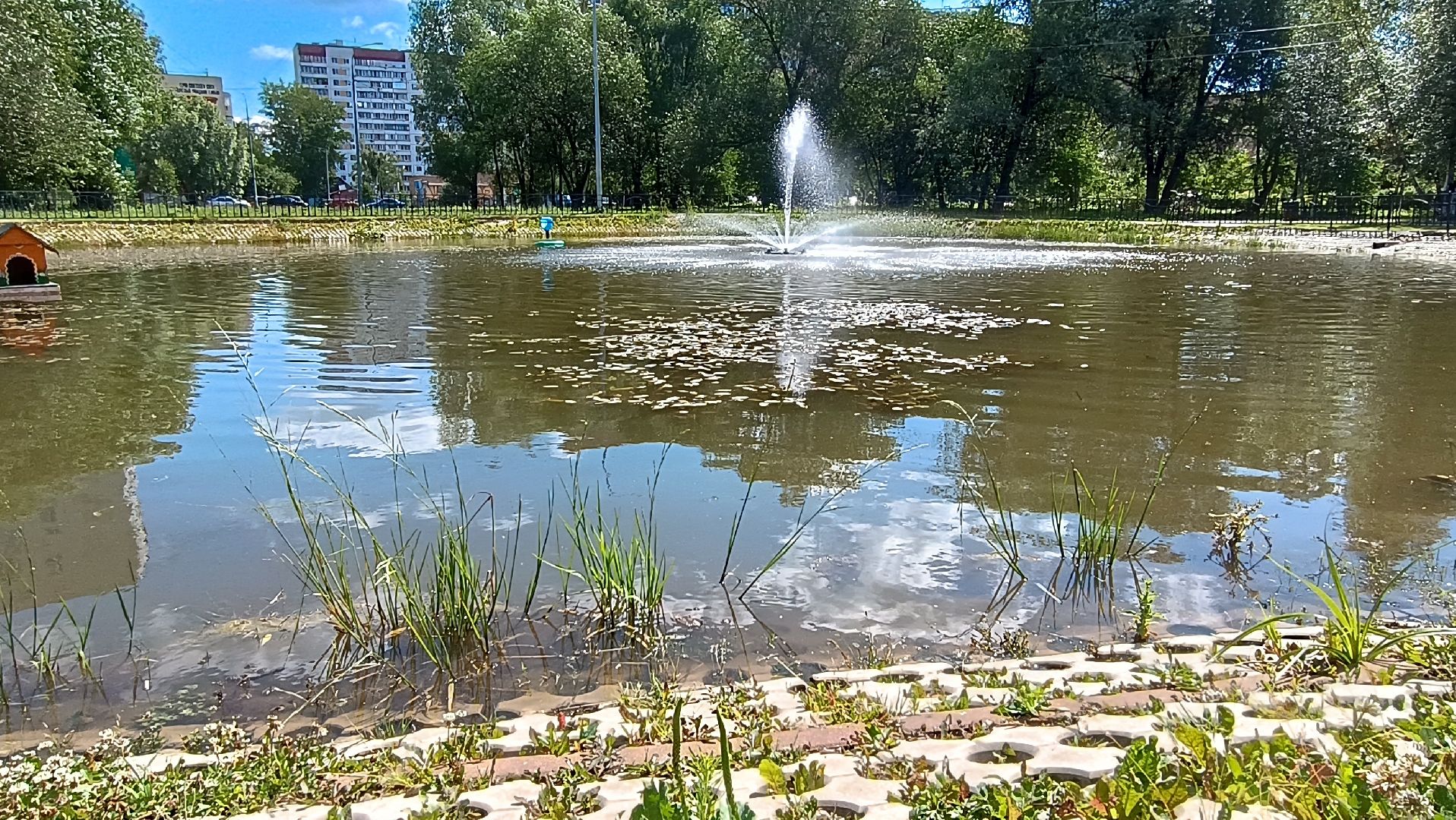 парк, пруд, фонтан