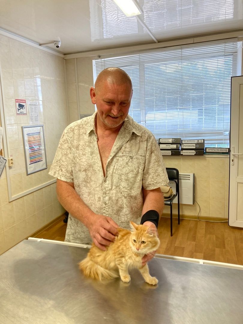 Солнечногорск, животные, ветеринарная станция, электронные карты, общая база