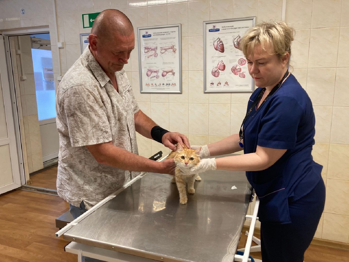 Солнечногорск, животные, ветеринарная станция, электронные карты, общая база