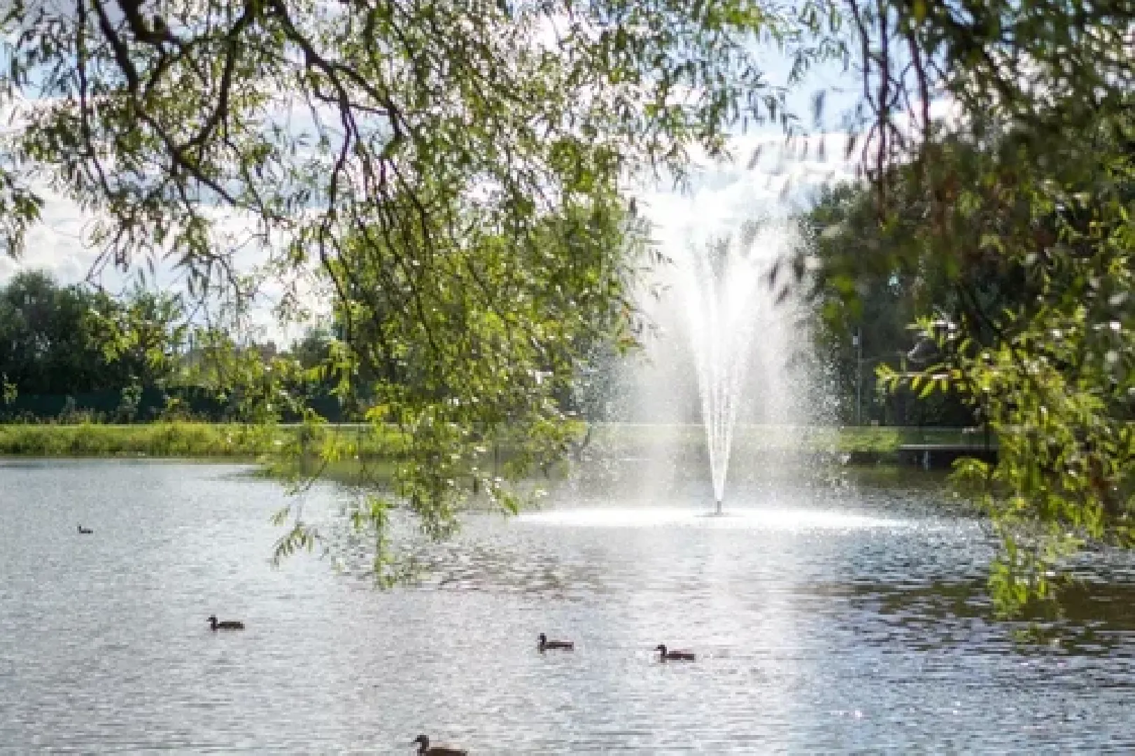 Парки, благоустройство, лето в подмосковье,