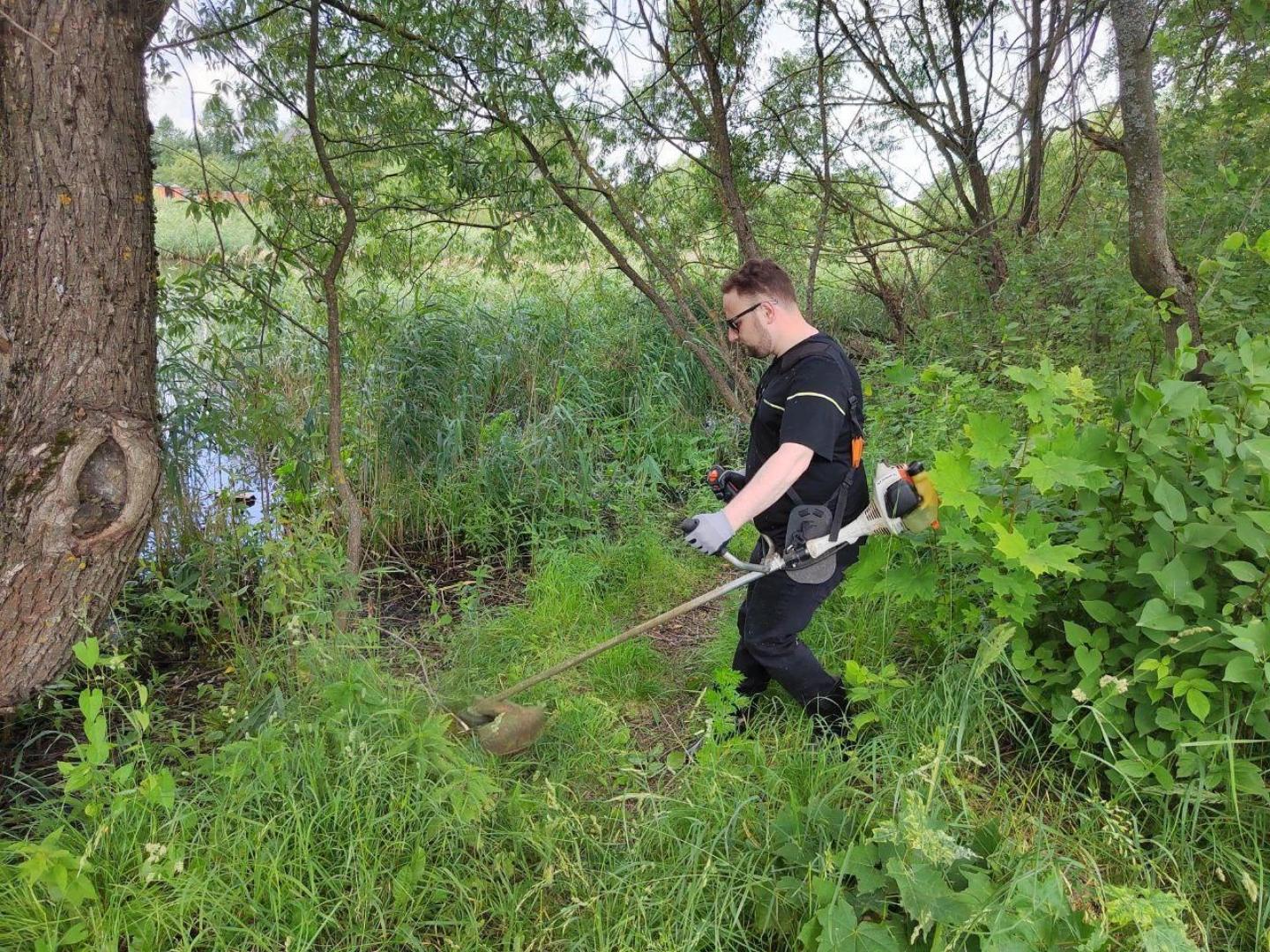 Парки, благоустройство, лето в подмосковье,