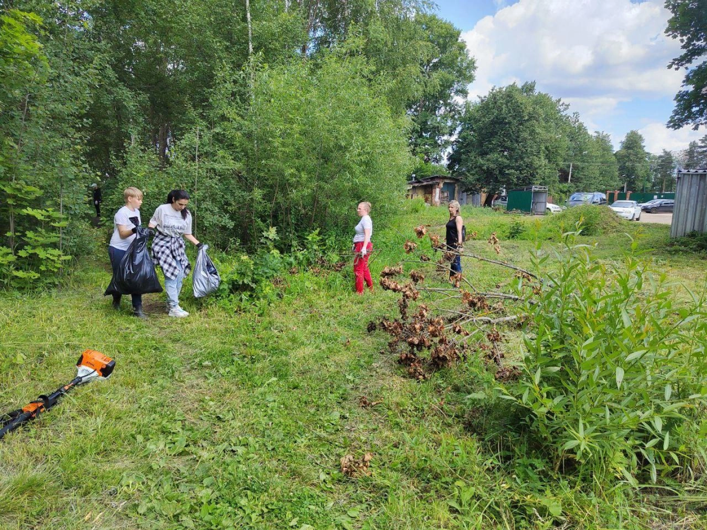 Парки, благоустройство, лето в подмосковье,