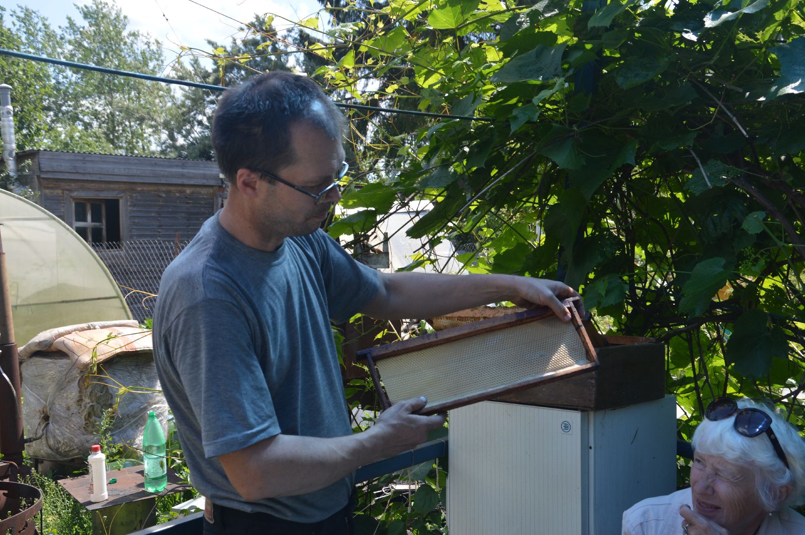 #Шатура, #Коробово_лицей, #родничок, #рабочая_пчела, #Сергей_Селиверстов, #уникальное_видео, #эксклюзив, #пчела, #улей