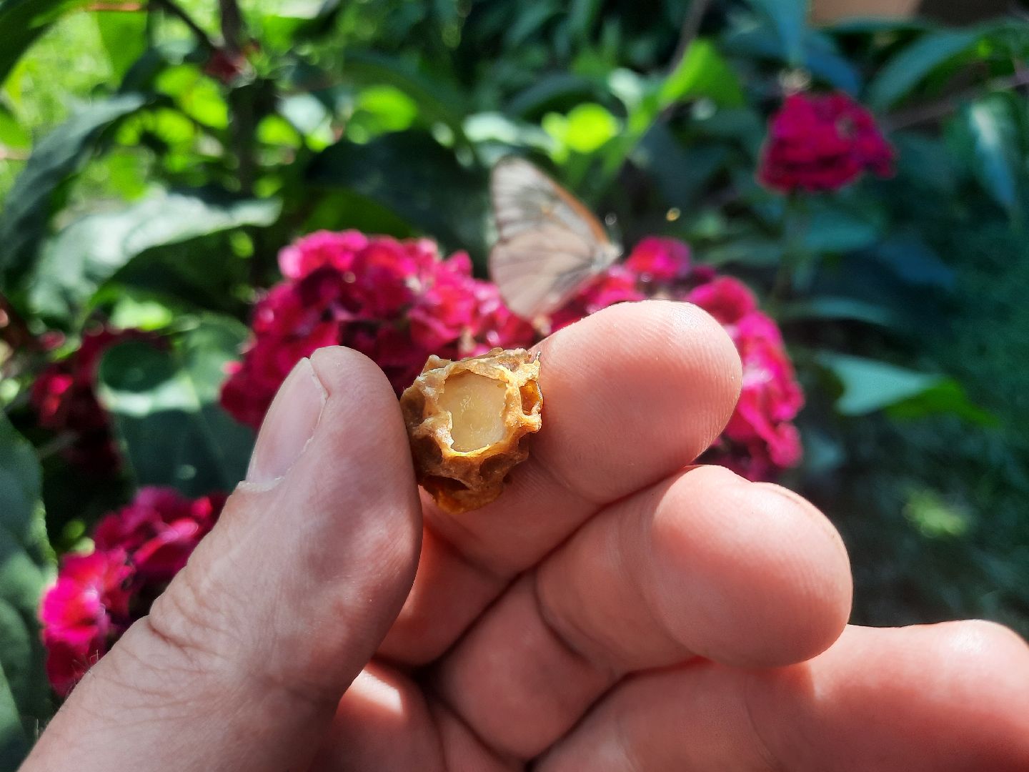 #Шатура, #Коробово_лицей, #родничок, #рабочая_пчела, #Сергей_Селиверстов, #уникальное_видео, #эксклюзив, #пчела, #улей