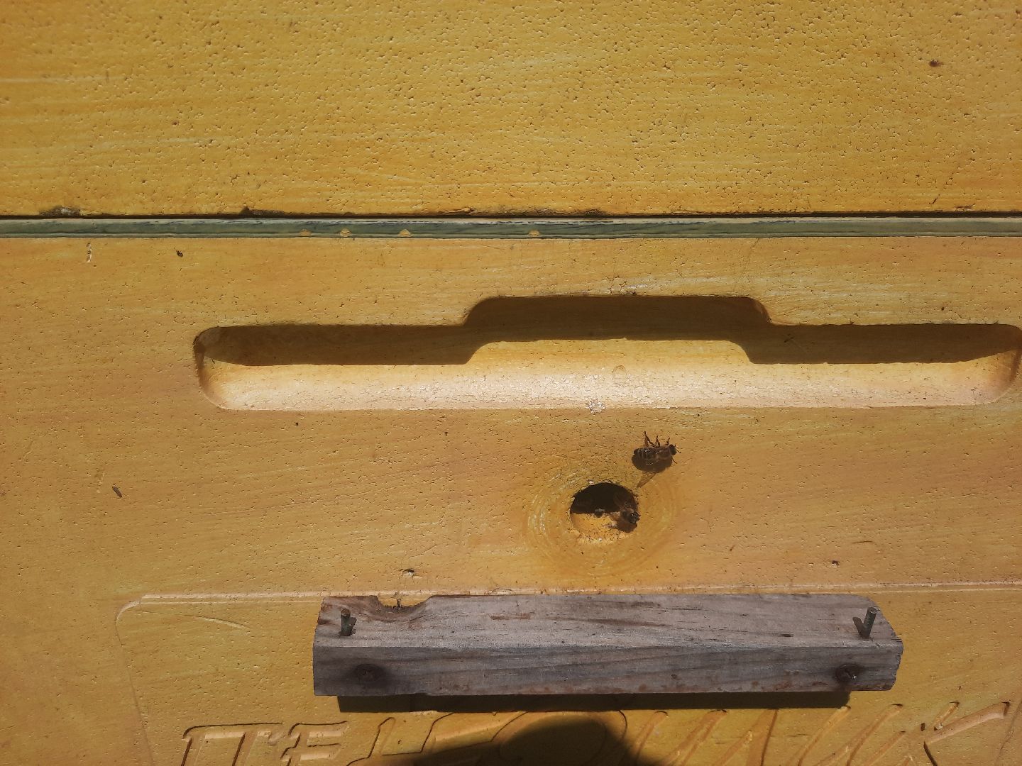 #Шатура, #Коробово_лицей, #родничок, #рабочая_пчела, #Сергей_Селиверстов, #уникальное_видео, #эксклюзив, #пчела, #улей