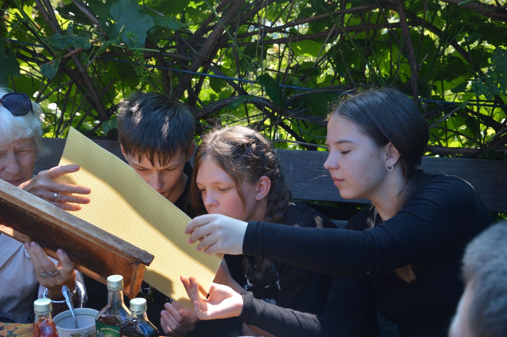 #Шатура, #Коробово_лицей, #родничок, #рабочая_пчела, #Сергей_Селиверстов, #уникальное_видео, #эксклюзив, #пчела, #улей