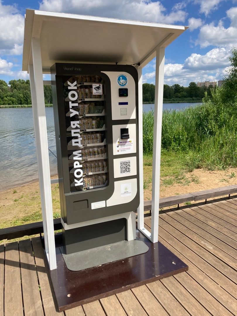 Солнечногорск, озеро, утки, социальный проект, Сенеж