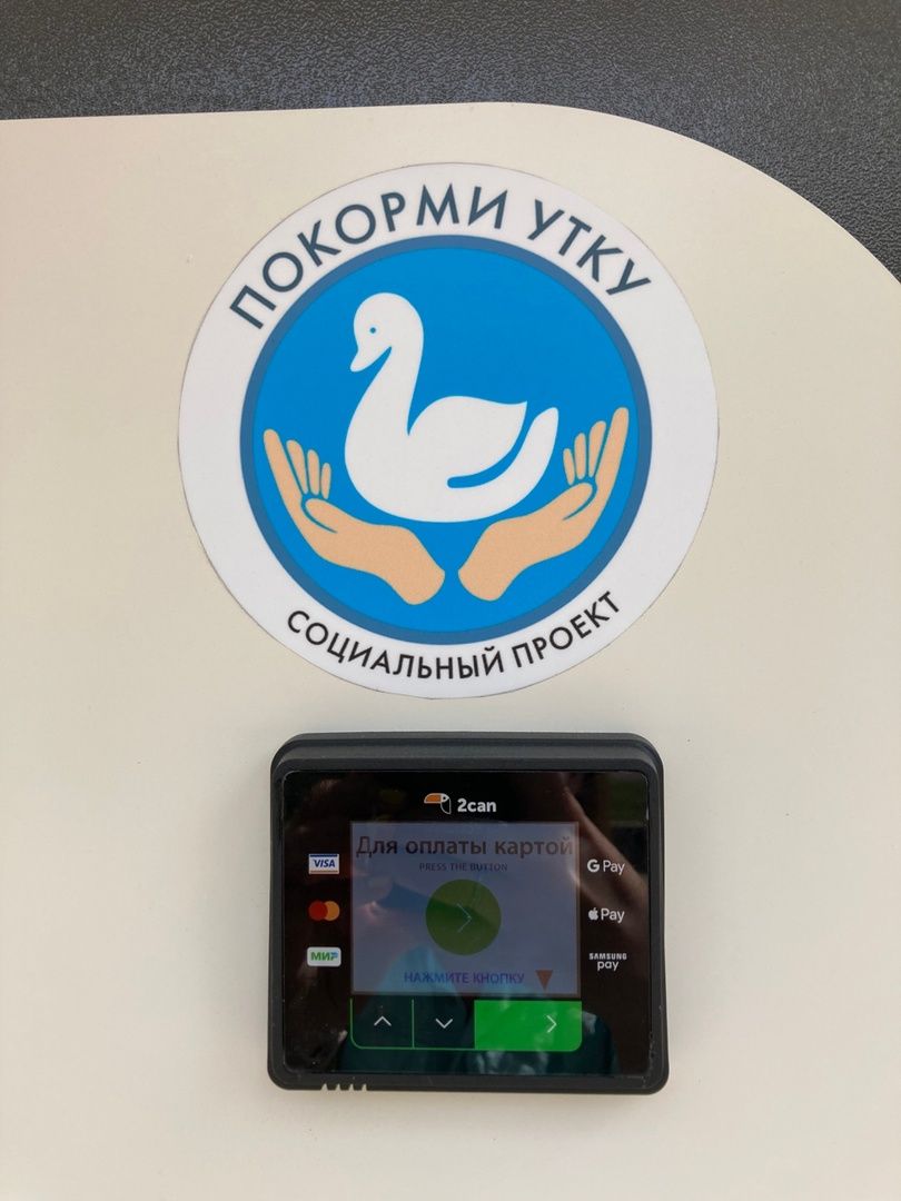 Солнечногорск, озеро, утки, социальный проект, Сенеж