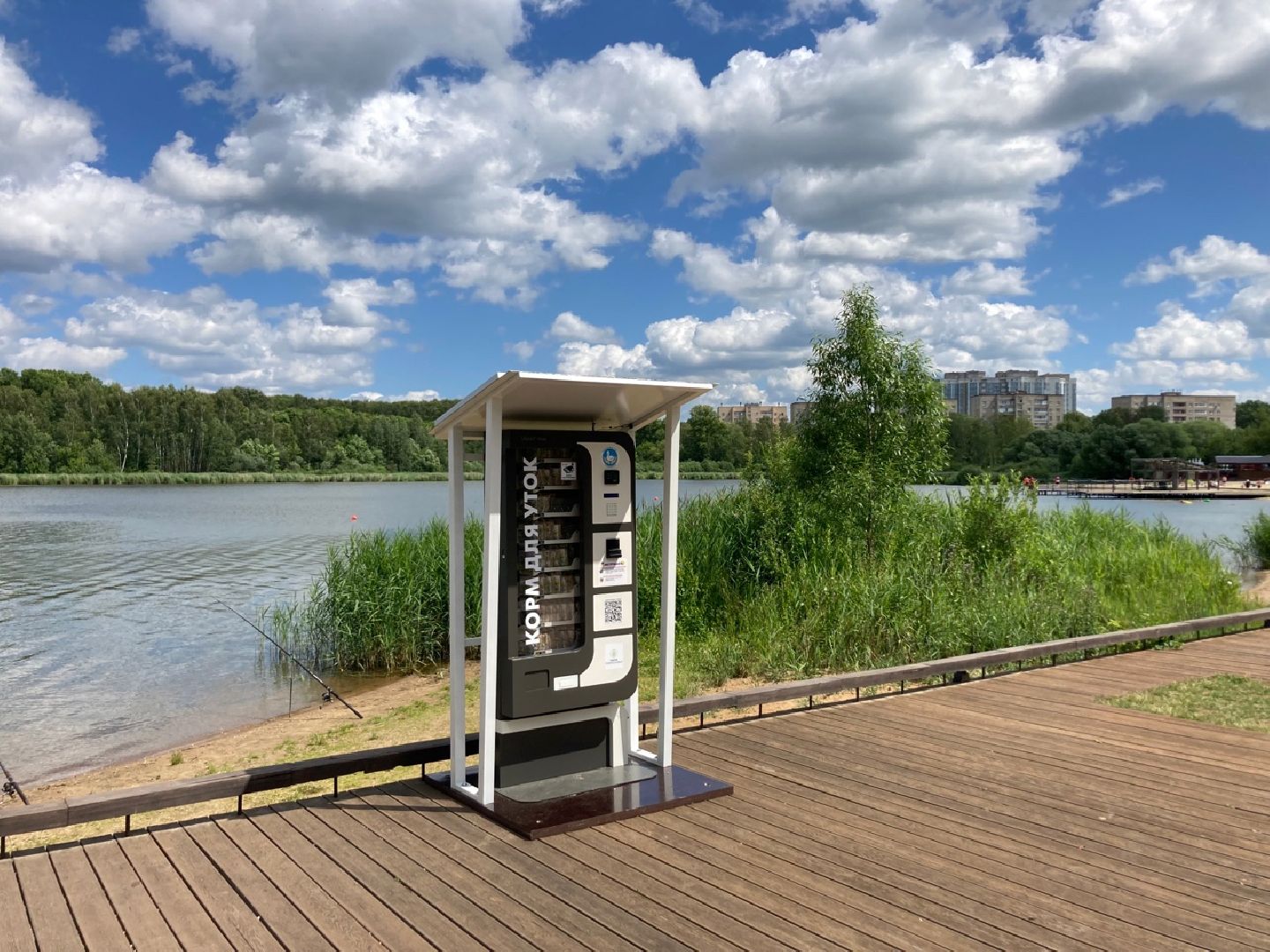 Солнечногорск, озеро, утки, социальный проект, Сенеж