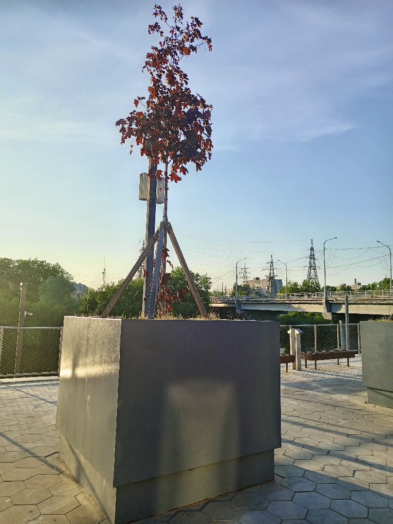 Орехово-Зуево, набережная, благоустройство