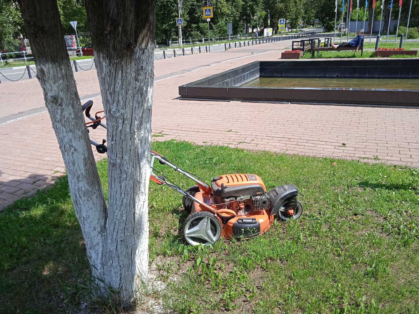 покос, травы, Вечный, огонь