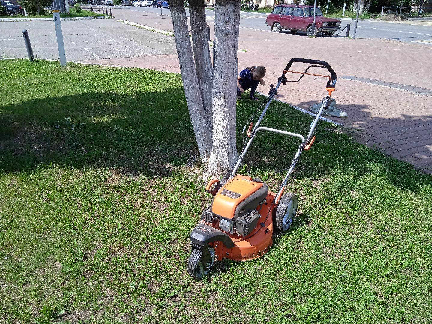 покос, травы, Вечный, огонь