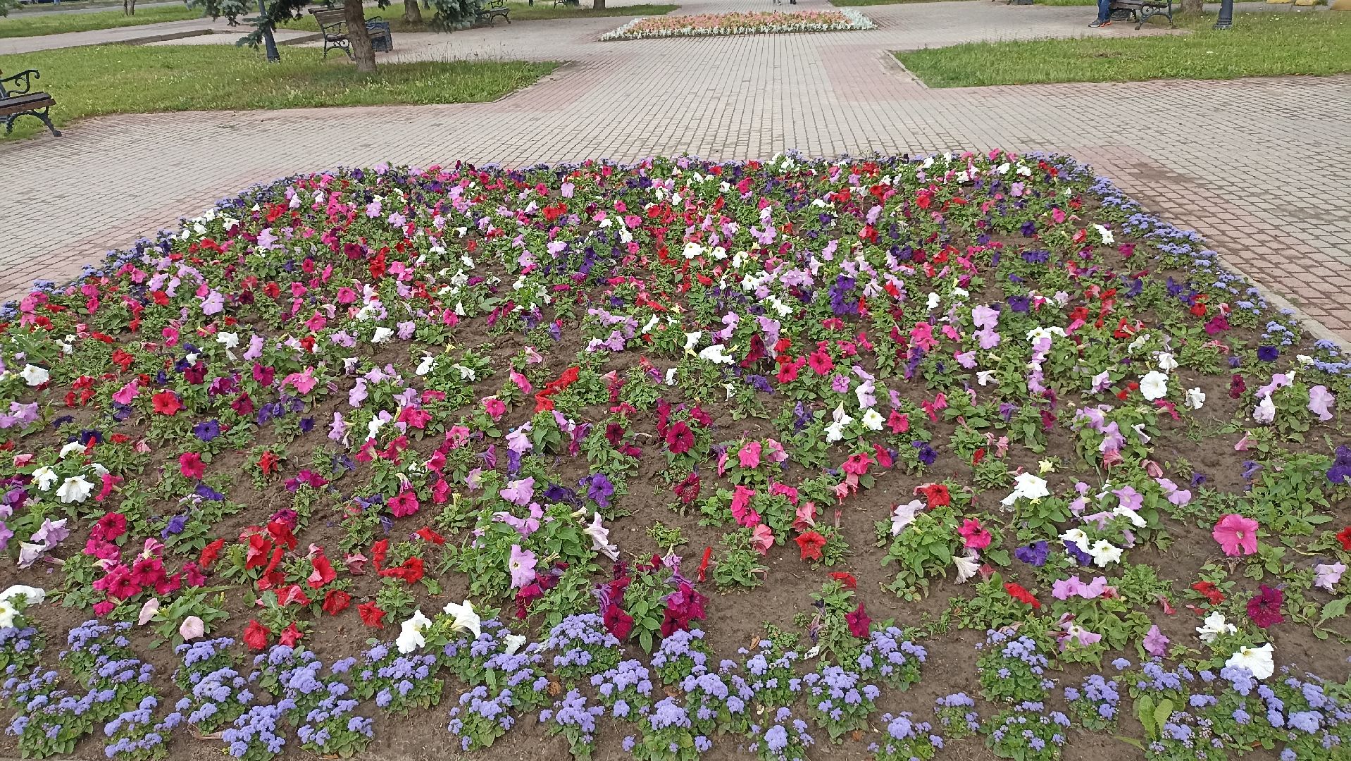 Серпухов, Подмосковье, клумбы, цветы, общественное место