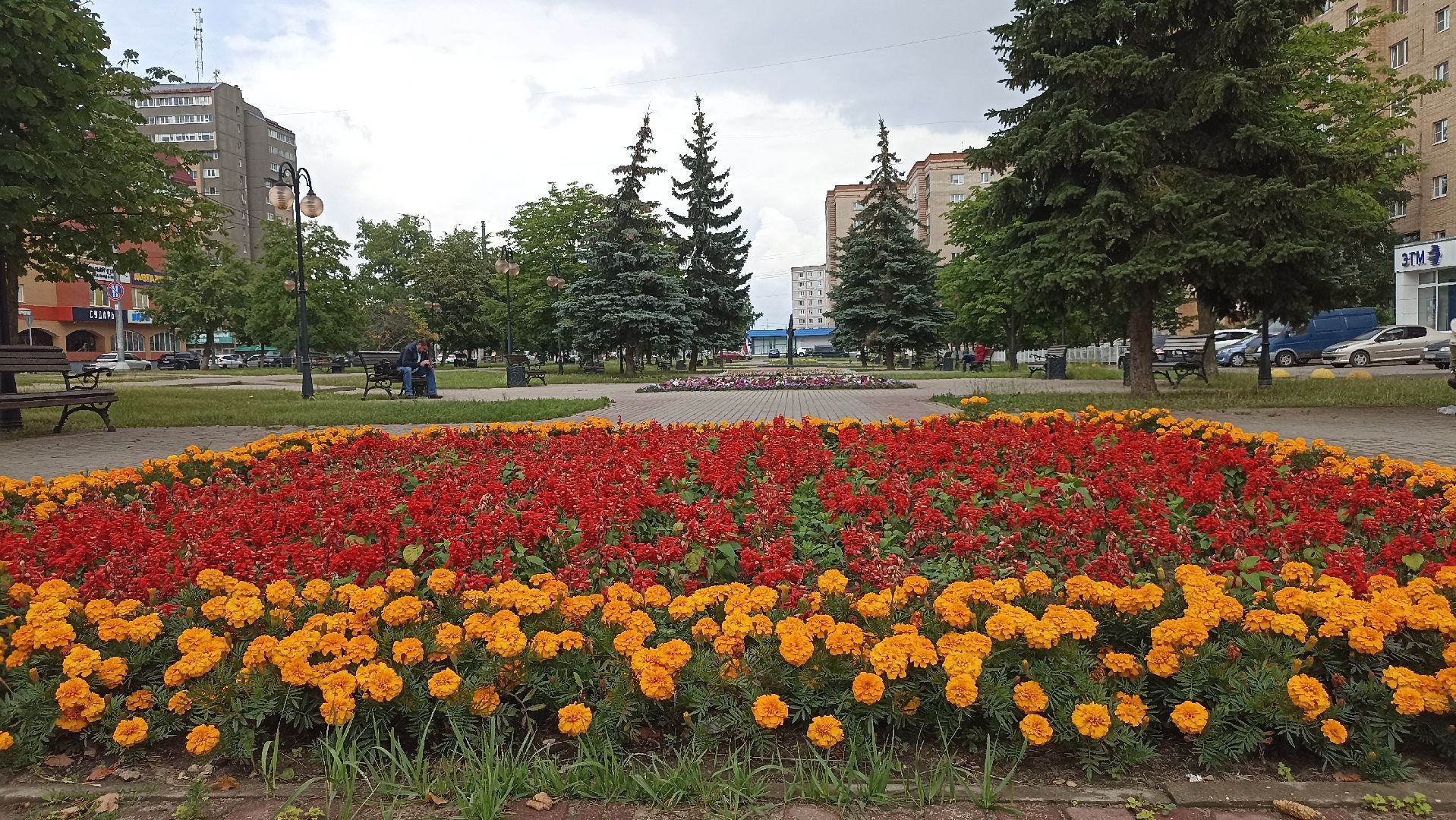 Серпухов, Подмосковье, клумбы, цветы, общественное место